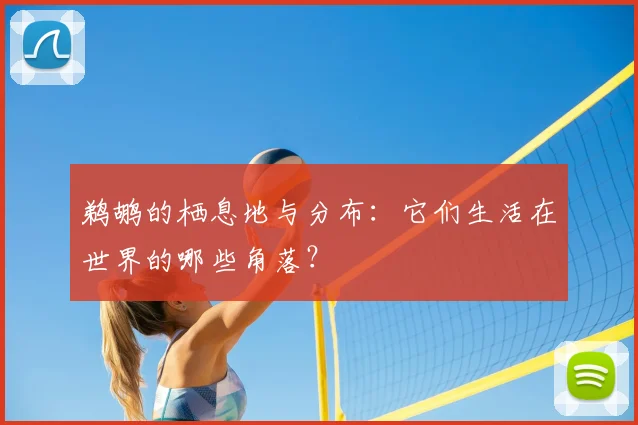鹈鹕的栖息地与分布：它们生活在世界的哪些角落？